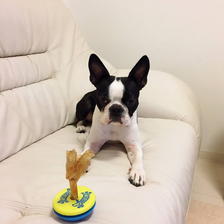 B8757e58 175f 4f62 9f3c c58c1e9bec46