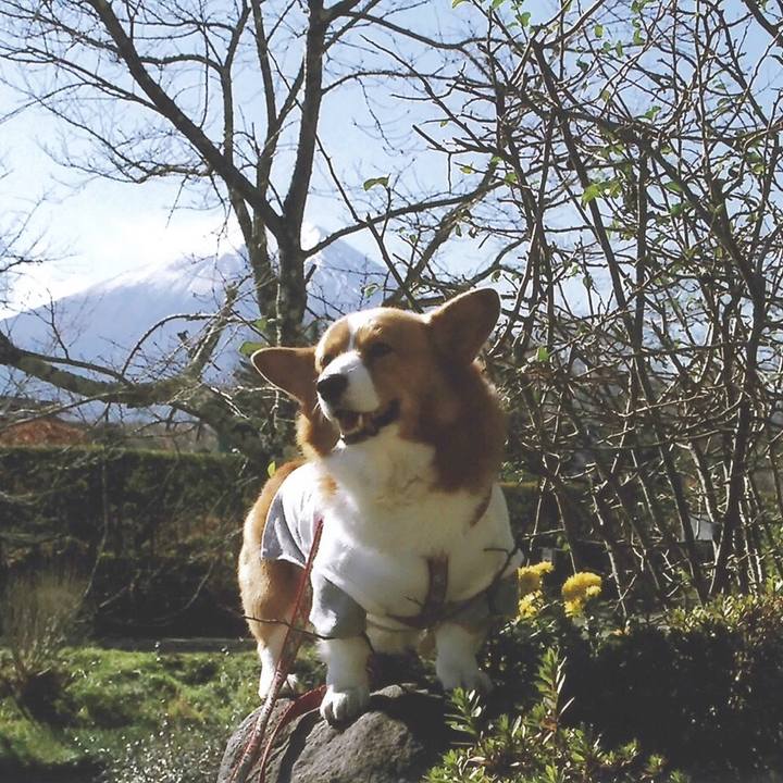 B875c0bf 13b6 4b12 96c2 9402a5b166ae