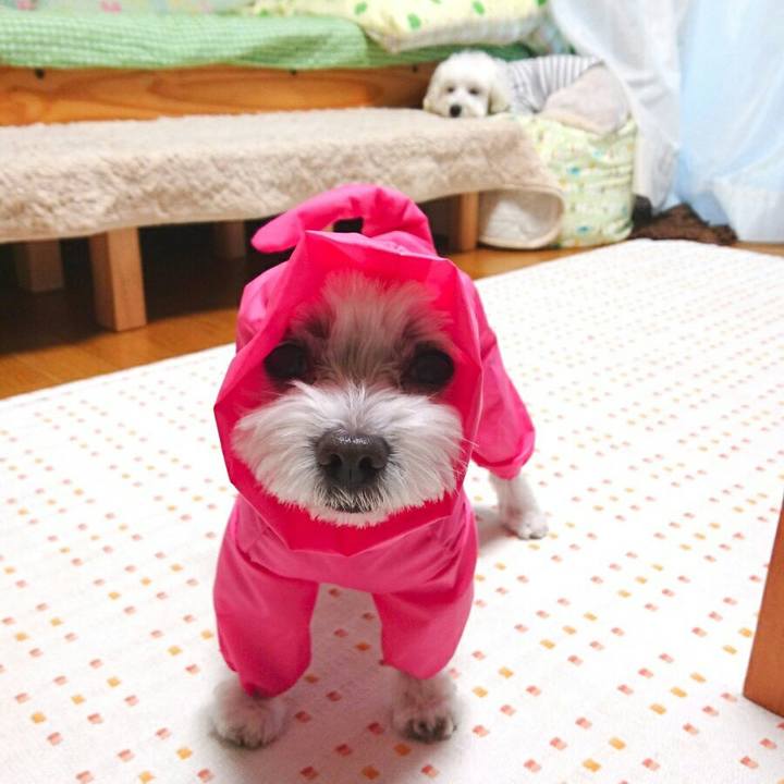 B875cd66 93a5 4502 b5ec 0c49e31690bb