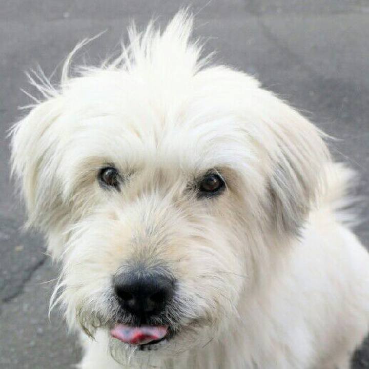 B87620bf c8c4 4dfe b6b9 ed5e4a9ef2a4