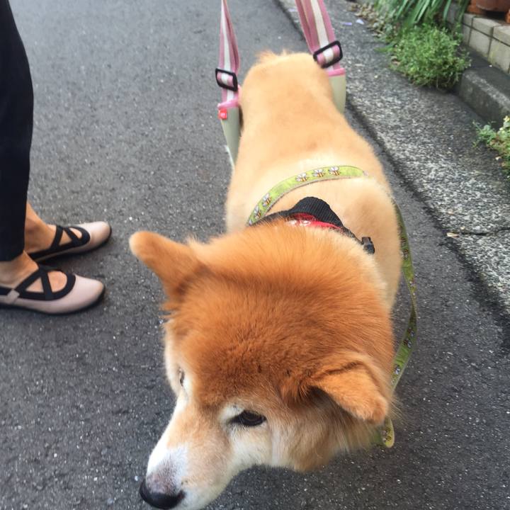 B877001d 0216 48cb a908 429209e0f03c