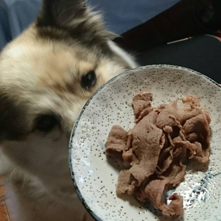 B87714c9 5c13 4fa1 8f83 877348de30d9