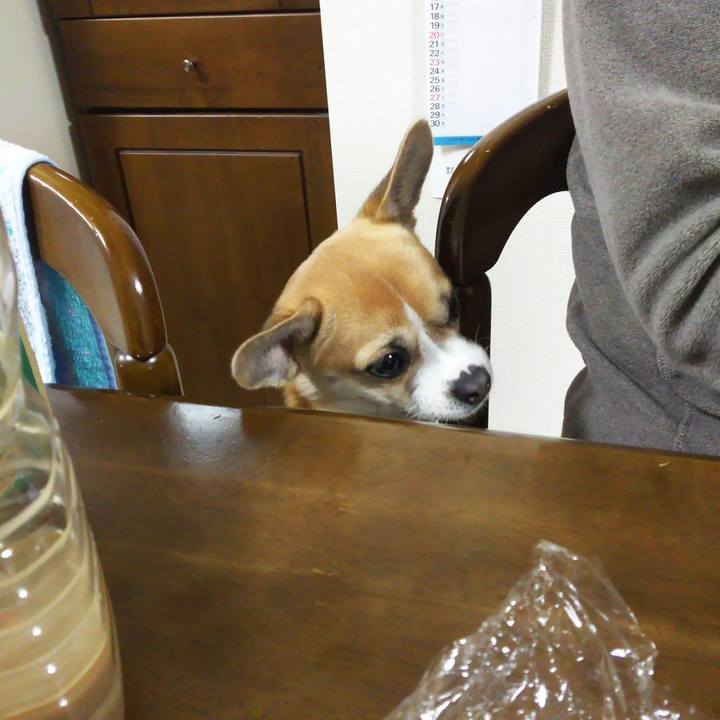 B87725bb a835 4706 b787 322d8820187d