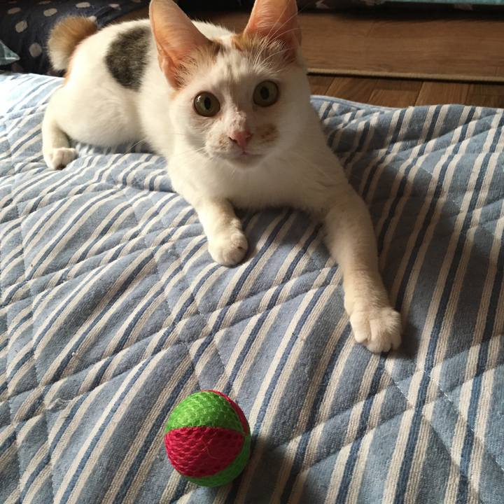 B8774ed8 6076 482c 8ec8 59ffba64e728