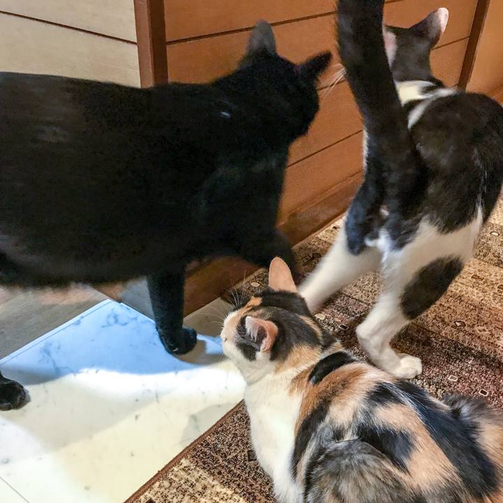 B877b65c 11e7 40a6 ac5f 578180b634b7