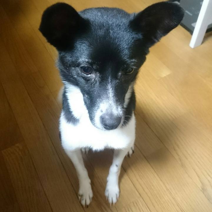 B877f88d 5d66 4a76 b277 48c69cc79ee1