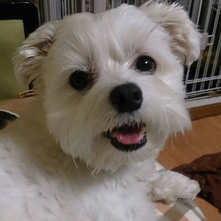 B87843bb 4422 4943 8fb8 38feafe5e52a