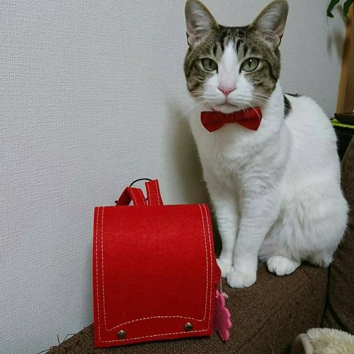 B8790633 c0de 496d b833 ffe6d1dbc91e