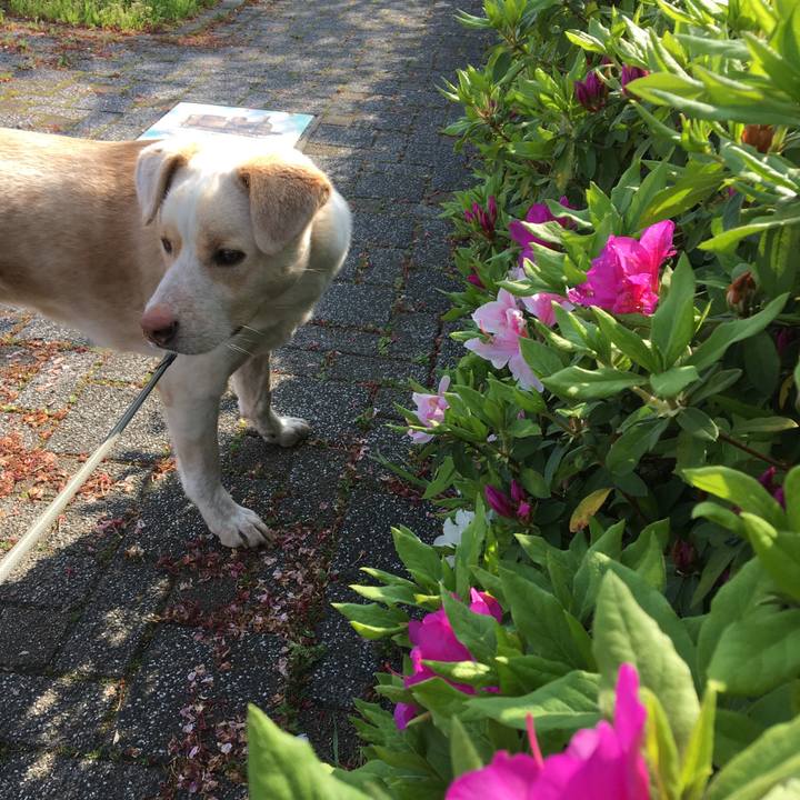 B879d50a 3c46 4d2a 8892 d3814c9556fa