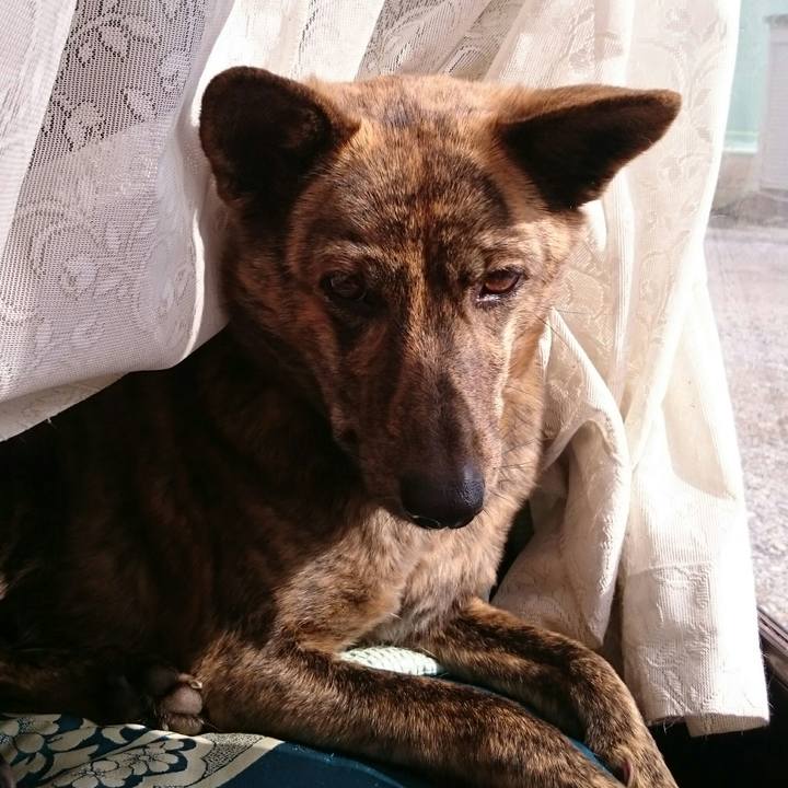 B879e286 2827 4ba3 bbee 5b8f4e95ba27