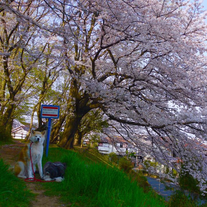 B87a8ed3 e9cd 4172 b968 7103bd199466