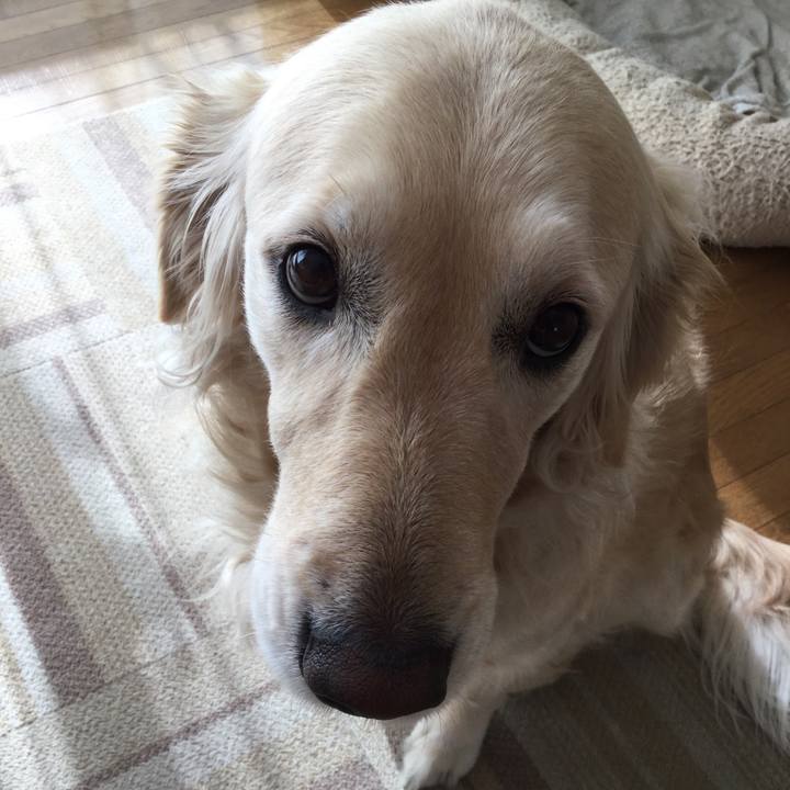 B87aafb3 4b32 4131 8991 f44b1fc3ebca