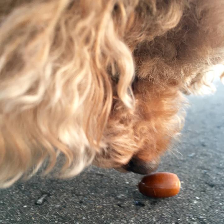 B87b8614 c2e0 413b a503 82a31cb0634b