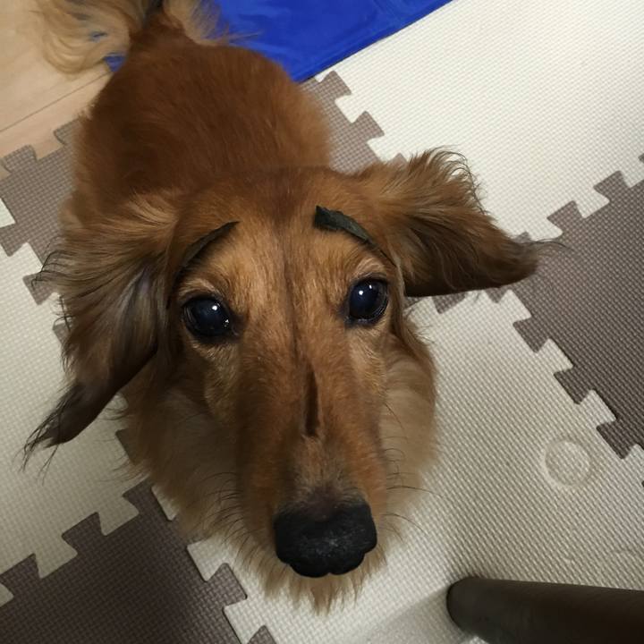 B87b8c82 3520 48d1 9148 7e65cb0ce954