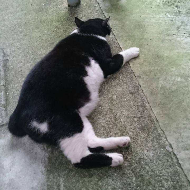 B87bcfd9 e13d 4de1 a61b 3b84e2a9a9db