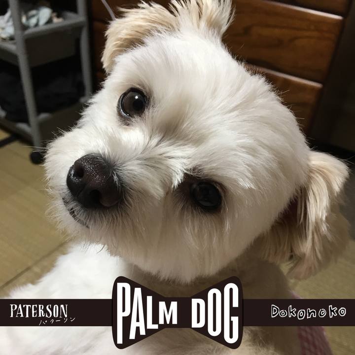 B87c4a80 d61c 4dbc 9cae b0815099b4e0