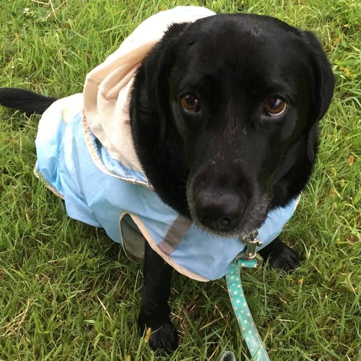 B87c5a38 dd1e 493d ae1d 982dd0d8da0c