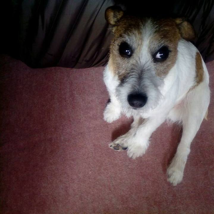 B87c926b 4f34 4424 aa4d 169fc0bb97b9