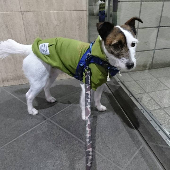 B87c9bfc 876c 47b5 9e3b c3084825c710