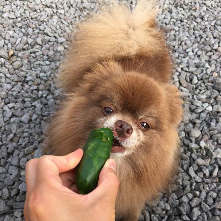 B87cc493 ec73 4319 a717 813b9f353fa3