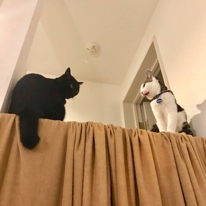 B87cfa9c 65cd 40dd a187 cf0dacb8a3fe