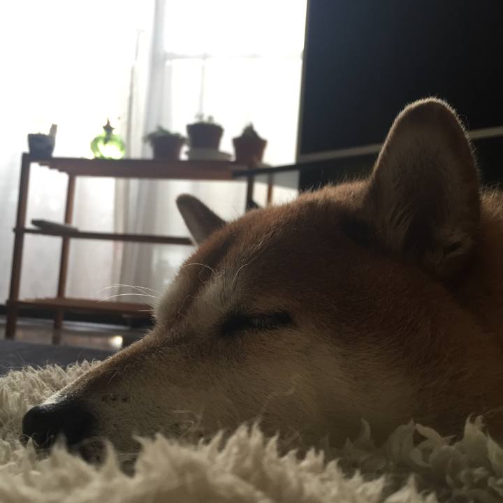 B87d4386 93ba 4b50 b23c 89b7f3f6784f