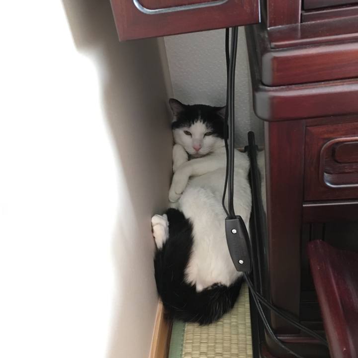 B87d64ba 9cc5 4e2a 956d bf9943b2c2d7