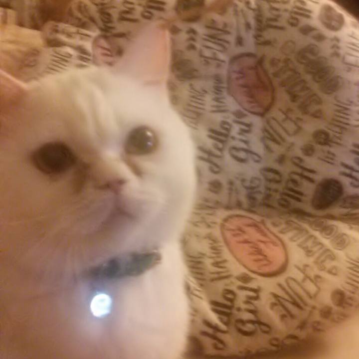 B87d6c67 6eb9 49af 8b6b fcca19551576