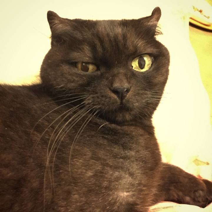 B87dbfd6 793f 42a4 9c45 ca7117a1a0b5