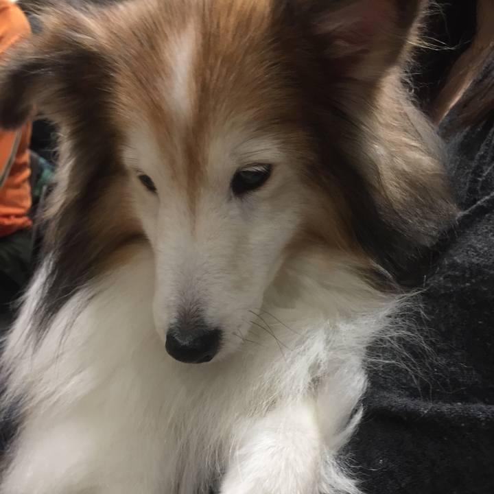 B87e1eff e4c7 4ecc 8e7e 8b5261a313fa