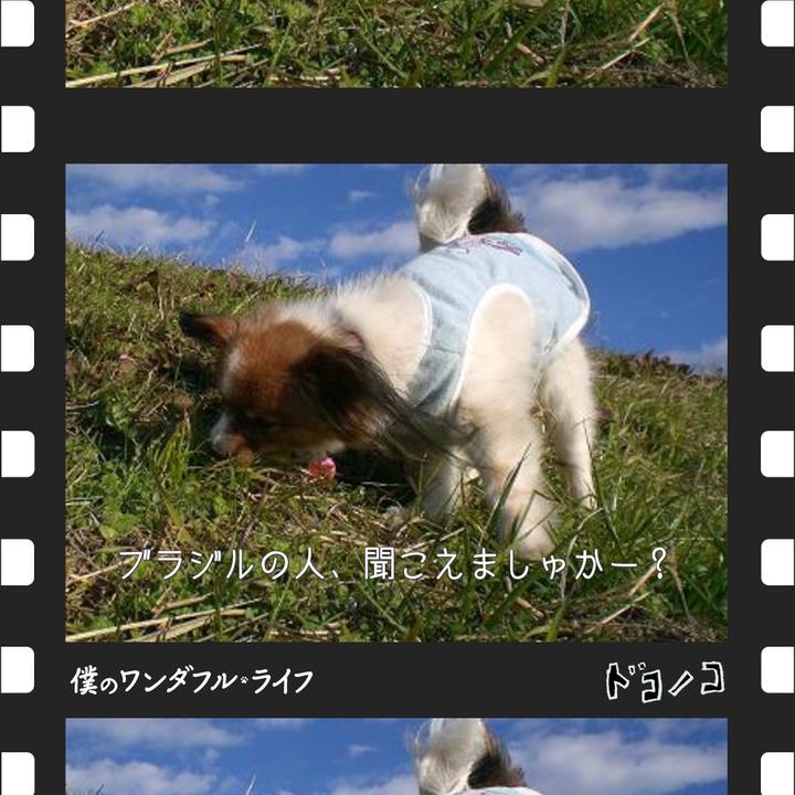 B87e2051 2fdd 4c34 abc1 534d941bbf24