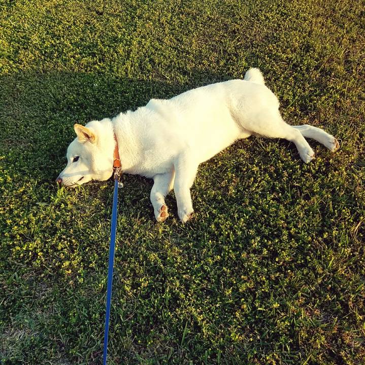 B87e2a53 fa7b 4c17 8f50 074589d2500b