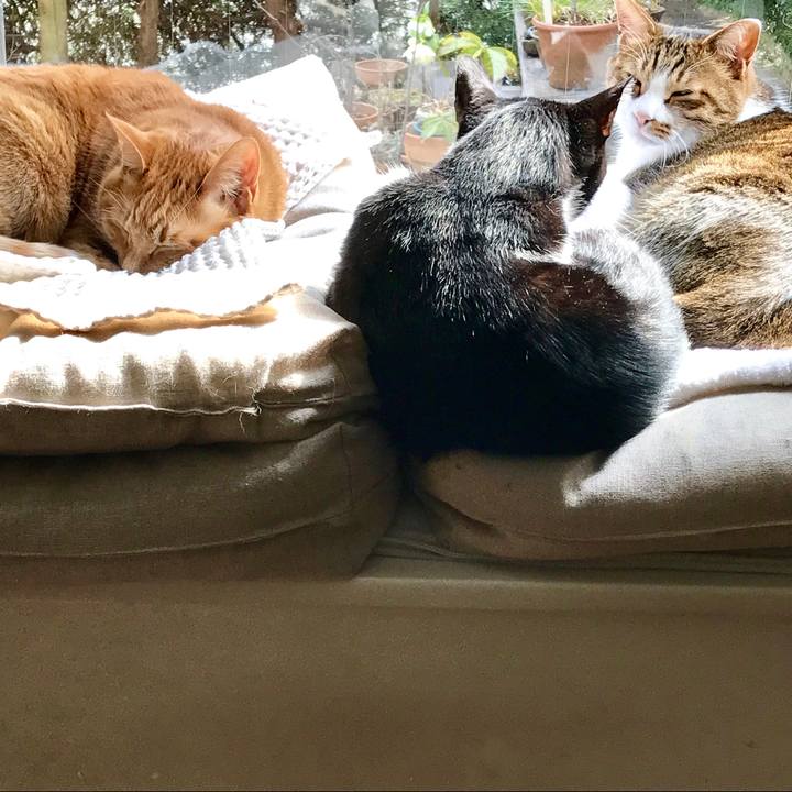 B87e79ff ad20 4d59 9eaa 7cd0310fc34b