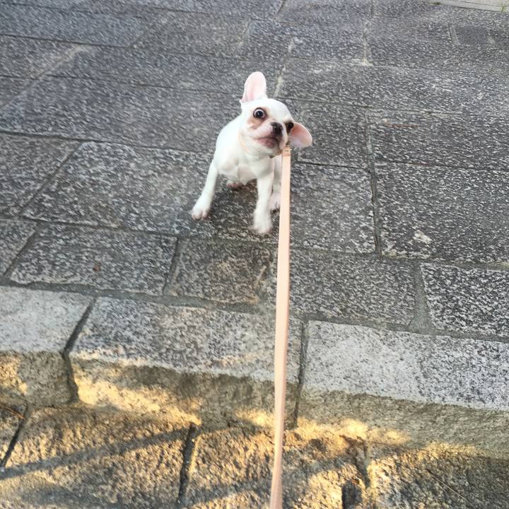 B87eb5bc 3805 4aa4 9f6c cbfdfcd68c9b