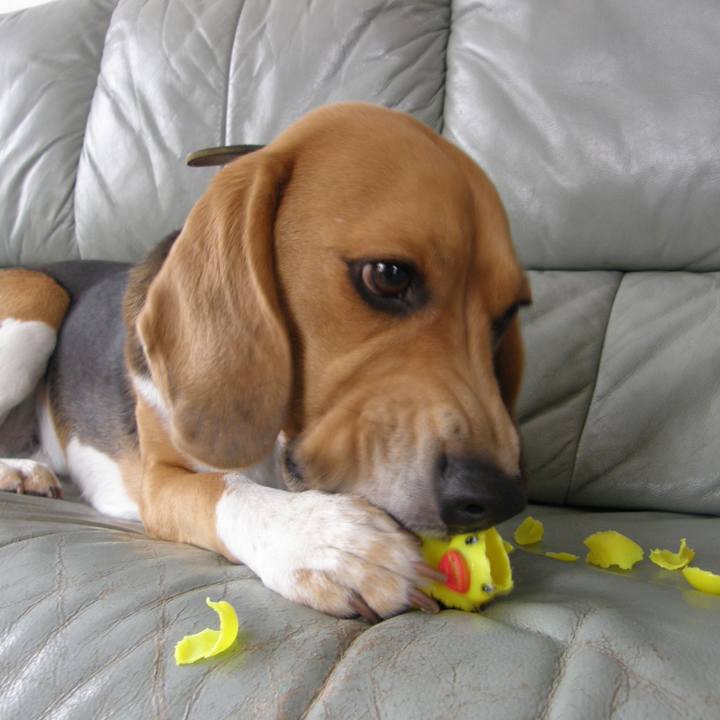 B87eff37 0803 4c4e ad1e 7a5e60dc7f85