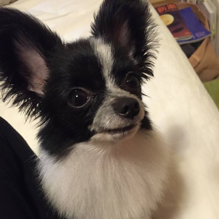 B87f0d68 fa87 4a13 ba81 286450f3a661