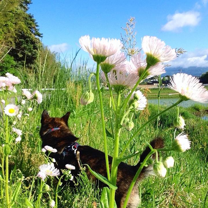 B87f8ca4 0cf7 444c 9dfb fbe1f6ee2fe4