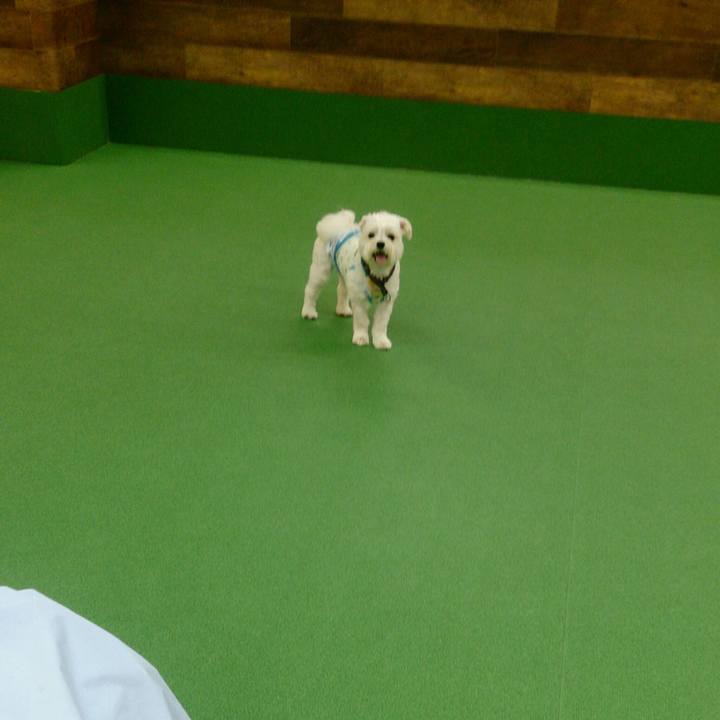 B87f9790 1cc0 40cb b8ab b7568759a9cc