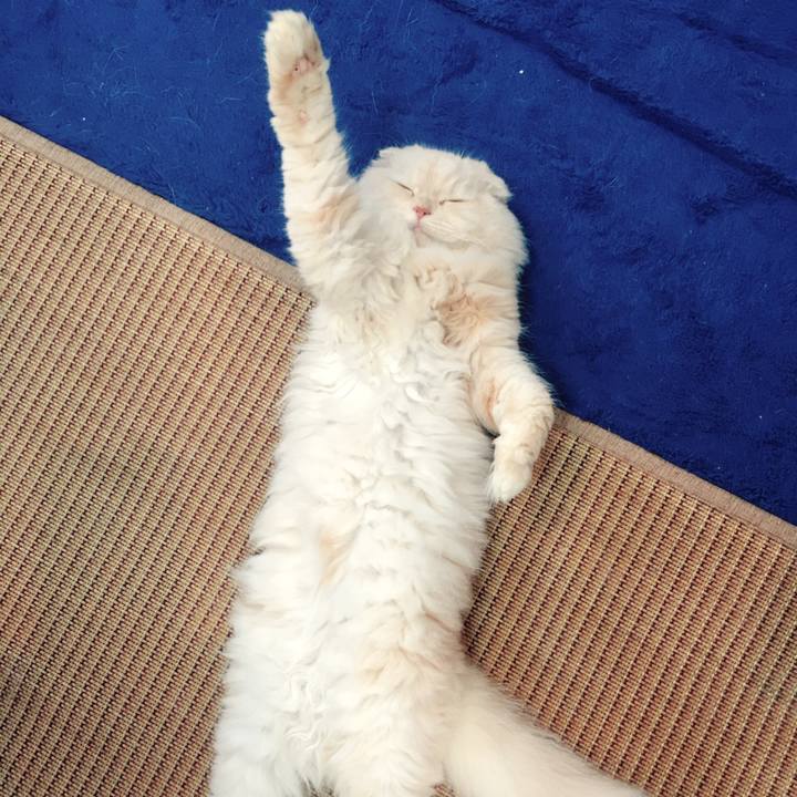 B87fa653 0845 4e38 b018 c6ba0a992de4