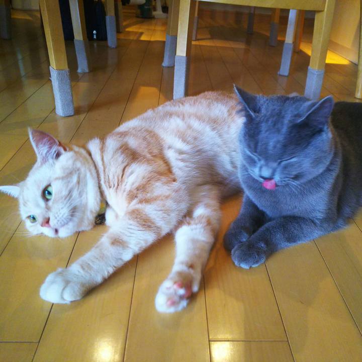 B87fbbdd 6a9e 4e94 851a 8e9555d942bb