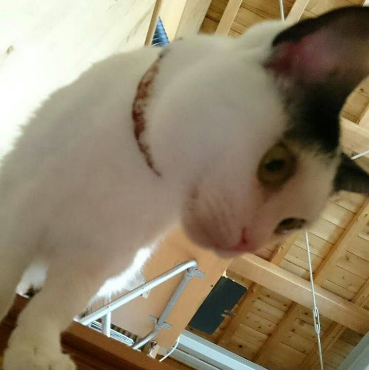 B8802710 10fc 43c1 aced 7dfe17535e11