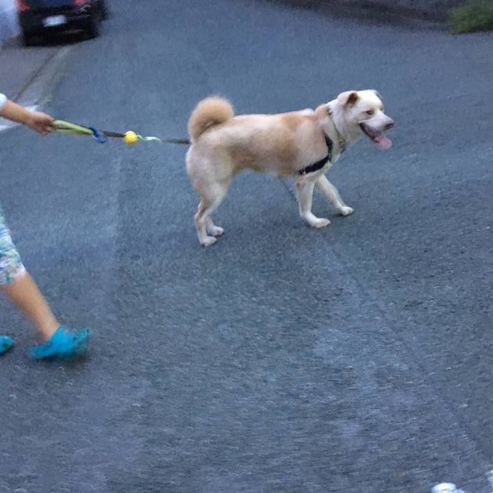 B8802f8b a0b2 454f 8371 96e5ef95a32d