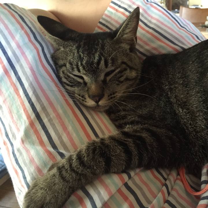 B8806e7a 35f8 43b5 a7e3 b5603681ca99