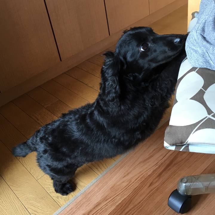 B880ed52 c614 45c2 ab45 0e284a9318b6