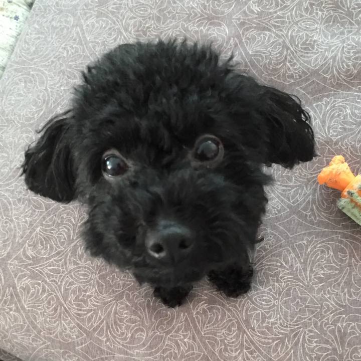 B880f18c 5e39 4b62 80b9 999152135ef3