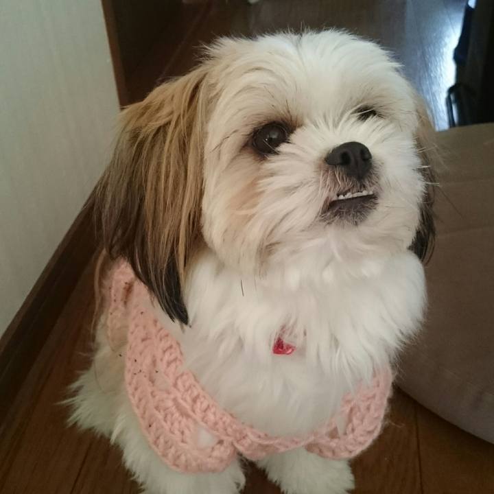 B88101b0 0bc8 4086 b80e 8eba08575dbc