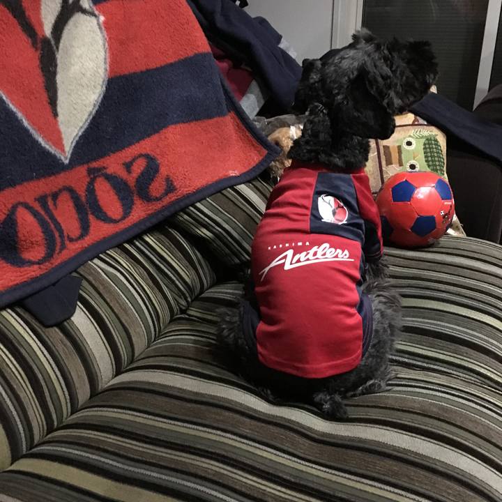 B8813f62 a1b7 4233 a0a5 edf99bee45f5