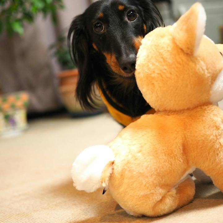 B8814938 002c 4d05 a87e 5717d966e0c7