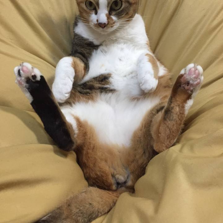 B8817648 0b84 42ae b5f8 cb12065136fa