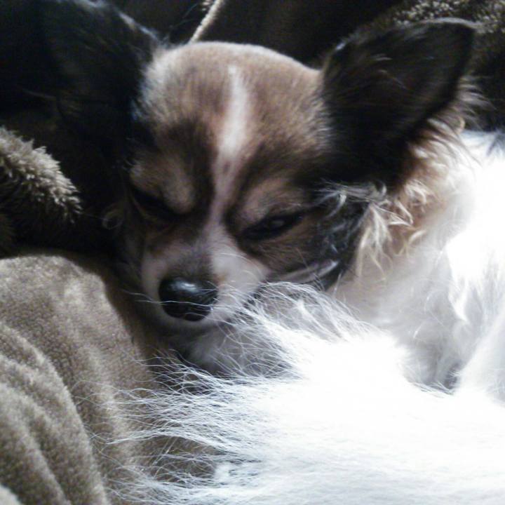 B8827e14 c2b8 4637 a560 6c41771b31a4